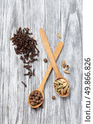 Nutmeg, clove and allspice in old spoon on wooden background. Стоковое фото, агентство Ingram Publishing / Фотобанк Лори