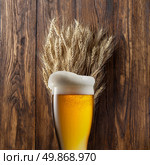 Glass of beer with wheat on wooden background. Стоковое фото, агентство Ingram Publishing / Фотобанк Лори
