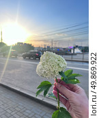 Бульдонеж. Стоковое фото, фотограф Марина Иванова / Фотобанк Лори