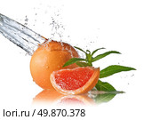 Water splash on grapefruit with mint isolated on white . Стоковое фото, агентство Ingram Publishing / Фотобанк Лори