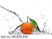 Tangerine with green leaves and water splash isolated on white. Стоковое фото, агентство Ingram Publishing / Фотобанк Лори