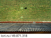 Old green bricks wall and shiver roof. Стоковое фото, агентство Ingram Publishing / Фотобанк Лори