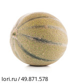 Juicy honeydew melon on a white background. Стоковое фото, агентство Ingram Publishing / Фотобанк Лори