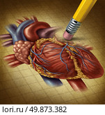 Losing human heart health and a decline in blood circulation causing problems for the cardiovascular system as a pencil eraser erasing an old grunge medical illustration on parchment paper. Стоковое фото, агентство Ingram Publishing / Фотобанк Лори