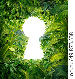 Out of the jungle as a concept of freedom and success from chaos and confusion with a thick green rainforest as a group of tropical plants in the shape of a blank white glowing key hole. Стоковое фото, агентство Ingram Publishing / Фотобанк Лори