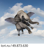 Potential and possibilities concept with a realistic elephant flying in the air using wings as a business symbol of achievement and belief in your abilities to succeed in upward growth. Стоковое фото, агентство Ingram Publishing / Фотобанк Лори