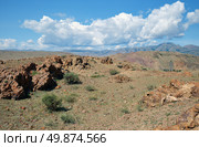 Rocky semi-desert with bushes of Caragana pygmaea in the Kosh-Agach Valley in Altai. Стоковое фото, фотограф Сергей Пристяжнюк (Serg Zastavkin) / Фотобанк Лори