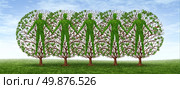 Community and friendship concept with a group of trees in the shape of people holding hands together in harmony as a growing partnership in a strong cooperation on a blue sky. Стоковое фото, агентство Ingram Publishing / Фотобанк Лори