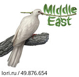 Middle East peace plan and diplomacy concept with a white dove holding an olive branch with the leaves in the shape of the word that includes persian gulf Iran Egypt Libya Kuwait Israel Syria Saudi Arabia searching for a negotiated solution. Стоковое фото, агентство Ingram Publishing / Фотобанк Лори