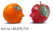 Bad partnership and mind control with an apple and an orange shaped as a human head with rotting mold as a business symbol of a brain or infection that is deteriorating a once strong partnership. Стоковое фото, агентство Ingram Publishing / Фотобанк Лори