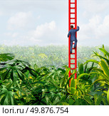 Business freedom with a businessman climbing the ladder of success out of a confusing thick dark forest jungle as a business concept of breaking out with direction and leadership on a tropical sky background. Стоковое фото, агентство Ingram Publishing / Фотобанк Лори