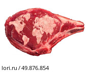 Global meat industry and world beef production food concept as a raw red rib steak with the animal fat in the shape of a map of the planet earth as an icon of international food issues. Стоковое фото, агентство Ingram Publishing / Фотобанк Лори