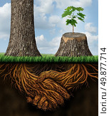 Business help and support concept as a tall tree next to a sick stump with a new growth of hope emerging in cooperation and teamwork with the roots shaped as a handshake providing the strength for success. Стоковое фото, агентство Ingram Publishing / Фотобанк Лори