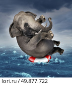 Surviving adversity and managing risk for big business challenges and uncertainty with a large elephant floating on a life preserver in a storm ocean background overcoming fear of loss for goal success. Стоковое фото, агентство Ingram Publishing / Фотобанк Лори