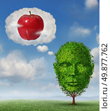 Big ideas business concept with a tree shaped as a human head dreaming and imagining a red apple in a dream bubble made of clouds as a metaphore for planning future profit and fruitful growth success. Стоковое фото, агентство Ingram Publishing / Фотобанк Лори