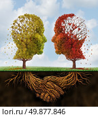 Fading team business concept with two autumn trees losing leaves in the shape of human heads with roots underground shaped as shaking hands as a team agreement that is losing strength on a sumer sky. Стоковое фото, агентство Ingram Publishing / Фотобанк Лори