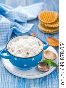 cheese cottage. Стоковое фото, агентство Ingram Publishing / Фотобанк Лори