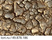 Drought environment background with dried earth cracked from lack of water caused by extreme heat and erosion resulting in farming problems as famine and global warming due to climate change and deforestation. Стоковое фото, агентство Ingram Publishing / Фотобанк Лори