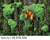 War in the Middle East concept as a forest of tall trees with a green vine growing shaped as the map of the world with the conflict zone burning with fire and smoke representing civil war revolution and political unrest. Стоковое фото, агентство Ingram Publishing / Фотобанк Лори