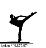 Kung fu at the edge. Element of design. Стоковое фото, агентство Ingram Publishing / Фотобанк Лори