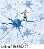 Brain research challenges as a medical concept with a science doctor walking on a human neuron connection as a highwire tight rope metaphor through a maze of neurons as an icon of finding a cure for autism alzheimers and dementia. Стоковое фото, агентство Ingram Publishing / Фотобанк Лори