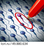 Human sperm selection and sorting as a reproductive concept for choosing the sex of a baby or best male genes to fertilise a female egg as a red pencil circling a chosen spermatozoa from a group of cells. Стоковое фото, агентство Ingram Publishing / Фотобанк Лори
