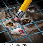 Animal adoption concept and rights as a kitten behind a cage being erased by a yellow pencil eraser as a hope metaphor for adopting pets from a shelter giving freedom to caged orphaned cats and dogs. Стоковое фото, агентство Ingram Publishing / Фотобанк Лори