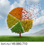 Changing market concept and  losing business pie chart as an aging green tree with leaves turning yellow to red and falling off as a change metaphor for investing conditions as a financial graph chart symbol of economic challenges. Стоковое фото, агентство Ingram Publishing / Фотобанк Лори