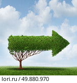 Growth Guidance advice business metaphor as a horizontal arrow tree pointing to a recommended direction for success in finance and education or career path guide symbol. Стоковое фото, агентство Ingram Publishing / Фотобанк Лори