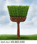 Spring cleaning concept with a tree and leaves in the shape of a broom and handle as a symbol of maid services or housekeeping chores to clean ans sweep away dirt in a house or purify the air in the environment through a natural process. Стоковое фото, агентство Ingram Publishing / Фотобанк Лори