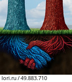 Confidential agreement and insider trading as two trees with underground roots shaped as a business handshake as a metaphor and symbol for hidden merger contracts between two partners or organizations working on a secret deal. Стоковое фото, агентство Ingram Publishing / Фотобанк Лори