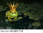 Frog prince concept with gold crown representing the fairy tale concept of change and transformation from an amphibian to royalty on a lily pad pond background. Стоковое фото, агентство Ingram Publishing / Фотобанк Лори