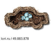 Car safety and auto insurance concept as a nest shaped as an automobile protecting a family of bird eggs as a concept and symbol for transportation security and driving safely on a white background. Стоковое фото, агентство Ingram Publishing / Фотобанк Лори