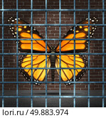 Trapped creativity and creative limitations business concept as a monarch butterfly behind prison bars as a symbol of education imagination adversity. Стоковое фото, агентство Ingram Publishing / Фотобанк Лори