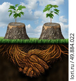 Helping one another as a mutual benefit business support group concept as two chopped trees with new growth of hope emerging as teamwork with the roots shaped as a handshake providing the strength for success. Стоковое фото, агентство Ingram Publishing / Фотобанк Лори