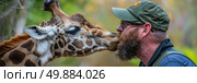 A man with a beard is affectionately kissing a giraffes head in a heartwarming moment of connection. Стоковое AI-изображение, AI-художник Данила Большаков / Фотобанк Лори