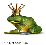 Frog prince side view concept with gold crown representing the fairy tale symbol of change and transformation from an amphibian to royalty. Стоковое фото, агентство Ingram Publishing / Фотобанк Лори