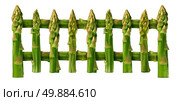 Healthy eating picket fence border design element isolated on a white background as a group of asparagus vegetables as for good nutrition and fit lifestyle or blocking disease through natural food. Стоковое фото, агентство Ingram Publishing / Фотобанк Лори