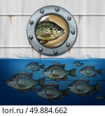 Different thinking business concept as a group of fish swimming in water with an individual noncomformist hitching a ride in a ship as a metaphor for out of the box strategy for success. Стоковое фото, агентство Ingram Publishing / Фотобанк Лори