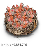 Demanding community concept and social media symbol as a crowd metaphor with a big chaotic group of baby birds in a giant nest complaining to get services. Стоковое фото, агентство Ingram Publishing / Фотобанк Лори