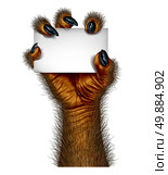 Werewolf hand holding a blank card sign as a creepy creature for halloween or scary symbol with textured hairy and textured skin with cursed wolf monster fingers on a white background. Стоковое фото, агентство Ingram Publishing / Фотобанк Лори