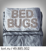 Bed bug on pillow and in bed as a bedbug infestation concept shaped as text letters as parasitic insect pests under the sheets as a hygiene health care symbol and metaphor of parasite bite danger inside a mattress.

. Стоковое фото, агентство Ingram Publishing / Фотобанк Лори