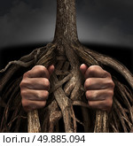 Trapped concept and mental prison symbol as a person caged and imprisoned by the slow growing roots of a tree as a metaphor for chronic ingrained suffering due to an addiction or psychological illness. Стоковое фото, агентство Ingram Publishing / Фотобанк Лори