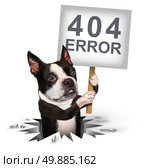 404 error page not found concept and a broken or dead link symbol as a dog emerging from a hole holding a sign with text for breaking the network connection resulting in internet search problems. Стоковое фото, агентство Ingram Publishing / Фотобанк Лори