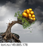 Financial success problem and investment stress symbol as a growing tree breaking due to the excess weight of growth income as a group of golden nest eggs pushing the plant down. Стоковое фото, агентство Ingram Publishing / Фотобанк Лори
