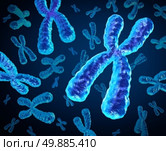 Chromosomes group as a concept for a human biology x structure containing dna genetic information as a medical symbol for gene therapy or microbiology genetics research. Стоковое фото, агентство Ingram Publishing / Фотобанк Лори