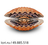 Delining wealth business symbol for reduction in prosperity as a group of gradually shrinking open clam shells wth a small pearl inside as a misfortune concept for deception and dissapointing results. Стоковое фото, агентство Ingram Publishing / Фотобанк Лори