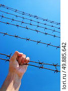 Hand of prison and sky background. Conceptual scene. Стоковое фото, агентство Ingram Publishing / Фотобанк Лори