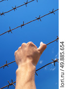 Hand of prison and sky background. Conceptual scene. Стоковое фото, агентство Ingram Publishing / Фотобанк Лори