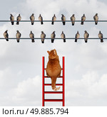 Reaching your goal concept and setting goals business metaphor as a cat climbing a ladder to reach a group of birds on a high wire as a motivation symbol for strategy and planning. Стоковое фото, агентство Ingram Publishing / Фотобанк Лори